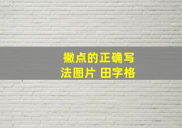 撇点的正确写法图片 田字格